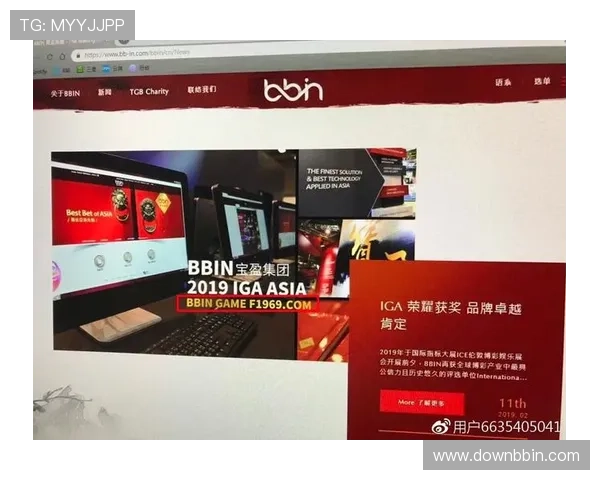 宝盈bbin开户流程中常见的风险点及规避策略分析